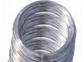 Stainless steel wire