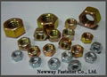 HEX NUTS 1