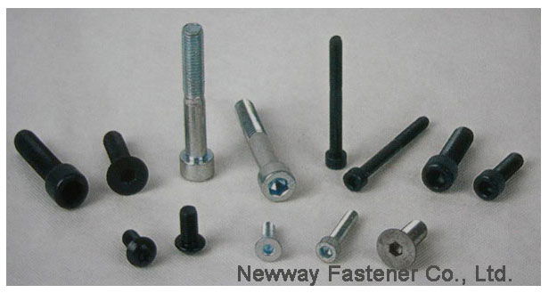 Socket screw-china