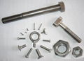 stainless steel bolts & nuts 1