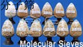 Molecular sieve 1