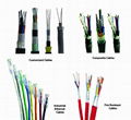 Special or Customized Cables