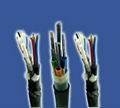 Special or Customized Cables 3