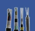 Special or Customized Cables 4