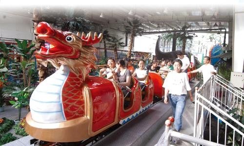 Amusement park equipment--Glide Dragon