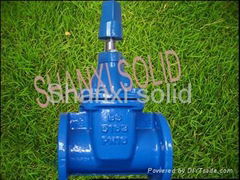 Gate Valve