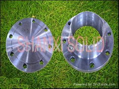 Steel Flanges