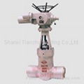 High Pressure Power Station Gate Valve