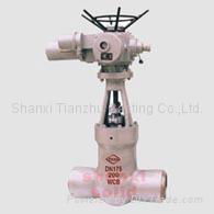 High Pressure Power Station Gate Valve