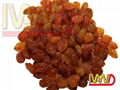 Sultana Raisin 1