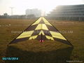 stunt kite 1