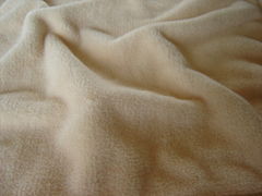 Coral fleece blanket