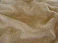 coral fleece blankets 1