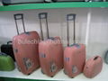PP Trolley cases