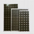 Poly Crystal Silicon Solar Panel 1