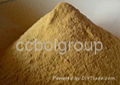 Saponin Powder