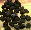中国海绵铁以及铸造生铁来源发展