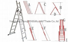 Combination Ladder