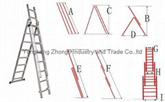 Combination Ladder