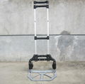 Portable L   age Cart