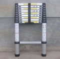 Telescopic Ladder