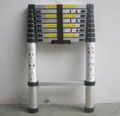 Telescopic Ladder 1