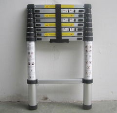 Telescopic Ladder