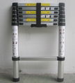 Telescopic Ladder