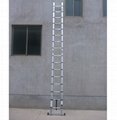 Telescopic Ladder 3