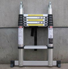 Telescopic Ladder