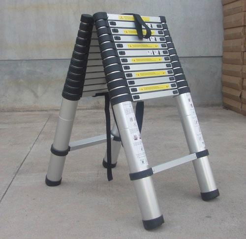 Telescopic Ladder 1