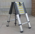 Telescopic Ladder