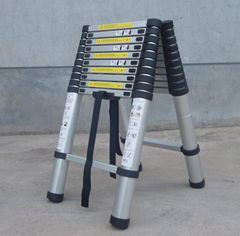 Telescopic Ladder