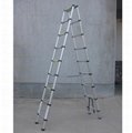 Telescopic Ladder 2