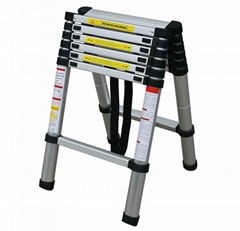 Telescopic Ladder