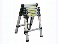 Telescopic Ladder