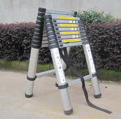 Telescopic Ladder 