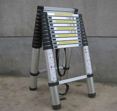 Telescopic Ladder