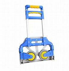 Portable L   age Cart