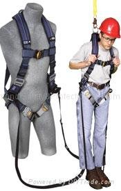 safety fall protection