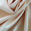 400T full dull pongee fabric