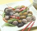Nevada, chaozhou and refreshing meatballs technology and raw material supply  4