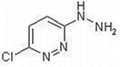 (3-Chloropyridazin-6-yl)hydrazine[17284-