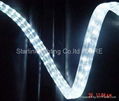 Led Rope Light   Round 9MM 13MM And Flat 2. 3 .4.5 Wire 220V 2