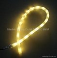 Led Rope Light   Round 9MM 13MM And Flat 2. 3 .4.5 Wire 220V 5