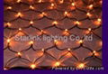 LED lighting led net light, 1