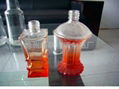 Perfume bottles 1