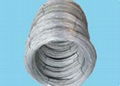 Sell Galvanized Wire