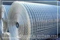 Sell Welded Wire Mesh 1