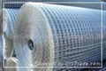 Sell Welded Wire Mesh